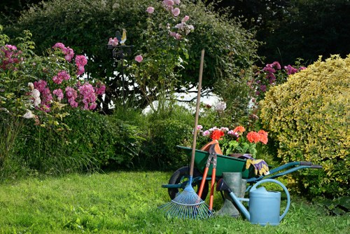 Hedge cutting service in Camberwell for neat residential garden boundaries