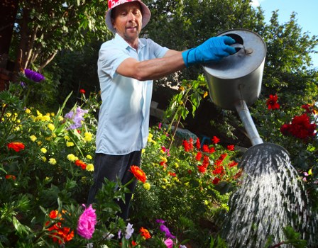 Load-based green waste removal for Camberwell tree surgery