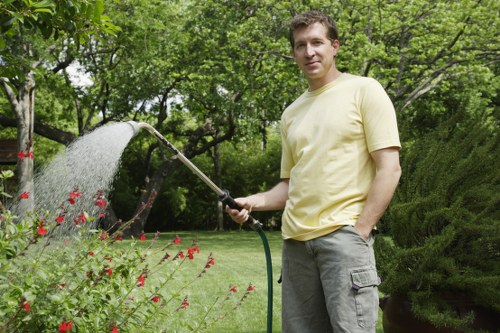 Professional pruning to reduce a tree canopy near Camberwell homes