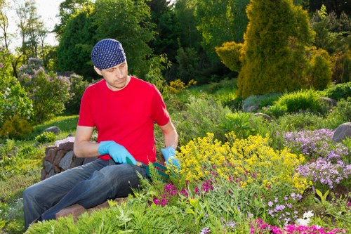 Professional hedge trimming for a Camberwell front garden with tidy edges