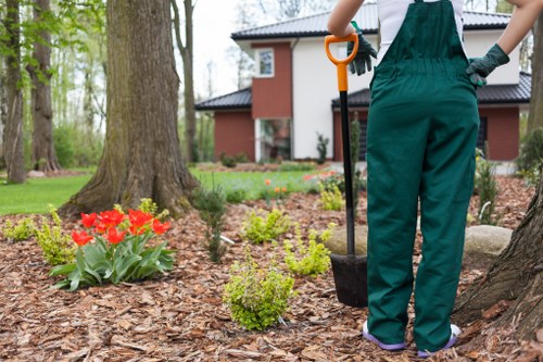 Skilled tree surgeon supporting healthy trees in Camberwell