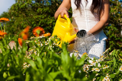 Professional stump grinding near a fence and paved area in Camberwell