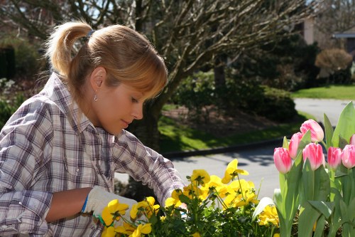 Supplier audit and compliance review for arboriculture services