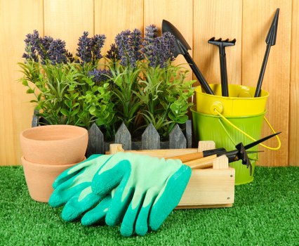 Local stump grinding service preparing a suburban property for landscaping